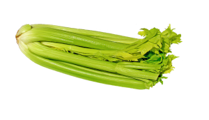 โรคความดันโลหิตสูง , ok herbs, คุณธนอรรถ ตรีธิติธัญ , celery 