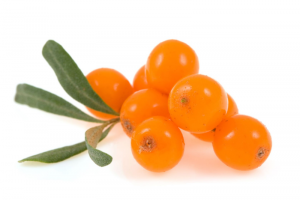 seabuckthorn