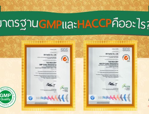 มาตรฐาน GMP และ HACCP คืออะไร ??