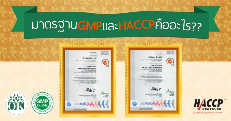 มาตรฐาน GMP , มาตรฐาน GMP และ HACCP