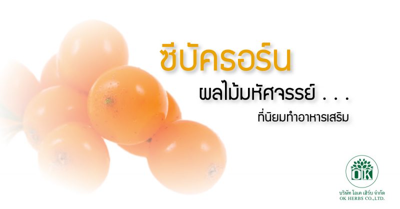 ซีบัคธอร์น ผลไม้มหัศจรรย์ ,ซีบัคธอร์น , โรงงานรับผลิตอาหารเสริม ,ok herb ,รับผลิตอาหารเสริม , คุณธนอรรถ ตรีธิติธัญ