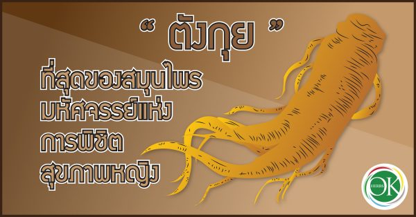 ประโยชน์ของตังกุย,สรรพคุณของตังกุย,สมุนไพรที่เหมาะสำหรับผู้หญิง,ผลิตเครื่องดื่ม ผิวขาว, อาหารเสริม อุ้มลูกดูหนัง, โรงงานรับผลิตอาหารเสริม Pantip, โรงงานผลิตอาหารเสริม ที่ดีที่สุด pantip, แนวโน้มอาหารเสริม, Functional Drink,