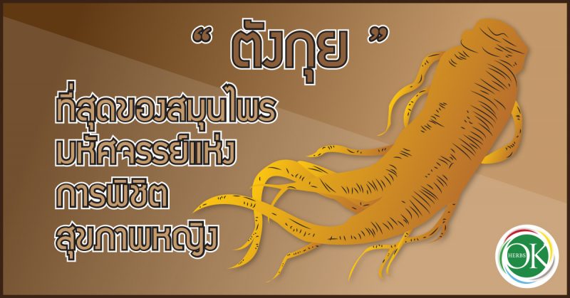 ประโยชน์ของตังกุย,สรรพคุณของตังกุย,สมุนไพรที่เหมาะสำหรับผู้หญิง,ผลิตเครื่องดื่ม ผิวขาว, อาหารเสริม อุ้มลูกดูหนัง, โรงงานรับผลิตอาหารเสริม Pantip, โรงงานผลิตอาหารเสริม ที่ดีที่สุด pantip, แนวโน้มอาหารเสริม, Functional Drink,