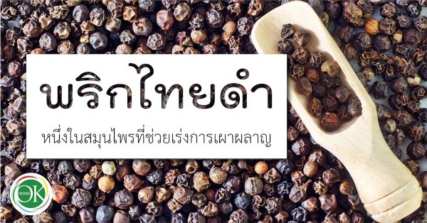 พริกไทยดำ หนึ่งในสมุนไพรที่ช่วยเร่งการเผาผลาญ