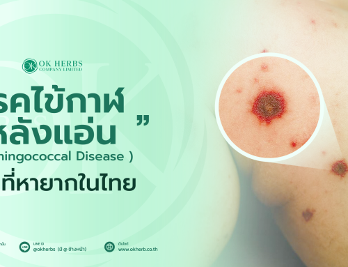 โรค ไข้กาฬหลังแอ่น โรคที่หายากสุดในไทย